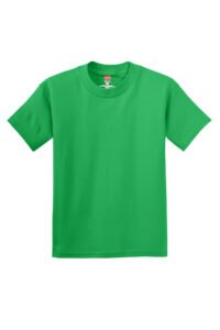 Hanes - Youth Authentic 100%  Cotton T-Shirt