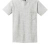 2300_ash_flat_front