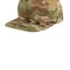 STC19_multicam_flat_front