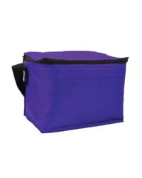 Budget 6-Pack Cooler