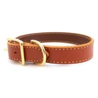 Lake Country Stitched Collar