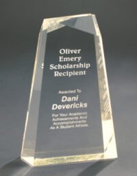 9" GLD ACYLIC FACET WEDGE