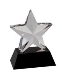 6" CRYSTL 3D STAR W/ BASE