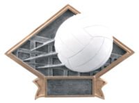 6X8.5 VOLLYBALL DIMND PLT