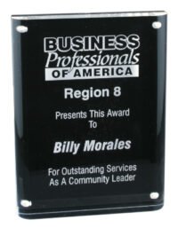 6X8 MAGNETIC ACRYLIC AWRD