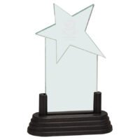 3X6 JADE STAR POP IN