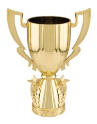 GLD 6"PLASTIC CUP W/STARS