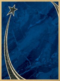6X8 BLU/GLD RSNG STAR PLT