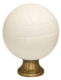RSN 10.5" WHITE VOLLYBALL