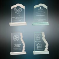 FROSTED ACRYLIC SAMPL SET